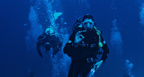 diving in Maldives waters like never before