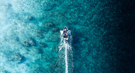 local or big game fishing, adventure unlimited in the Maldives